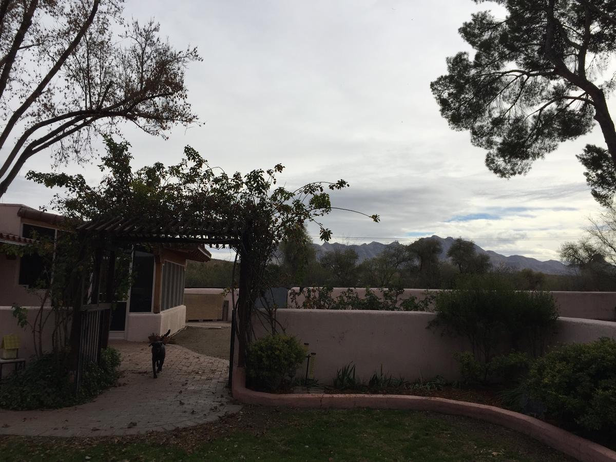 Casa Paloma B&B Tubac Εξωτερικό φωτογραφία